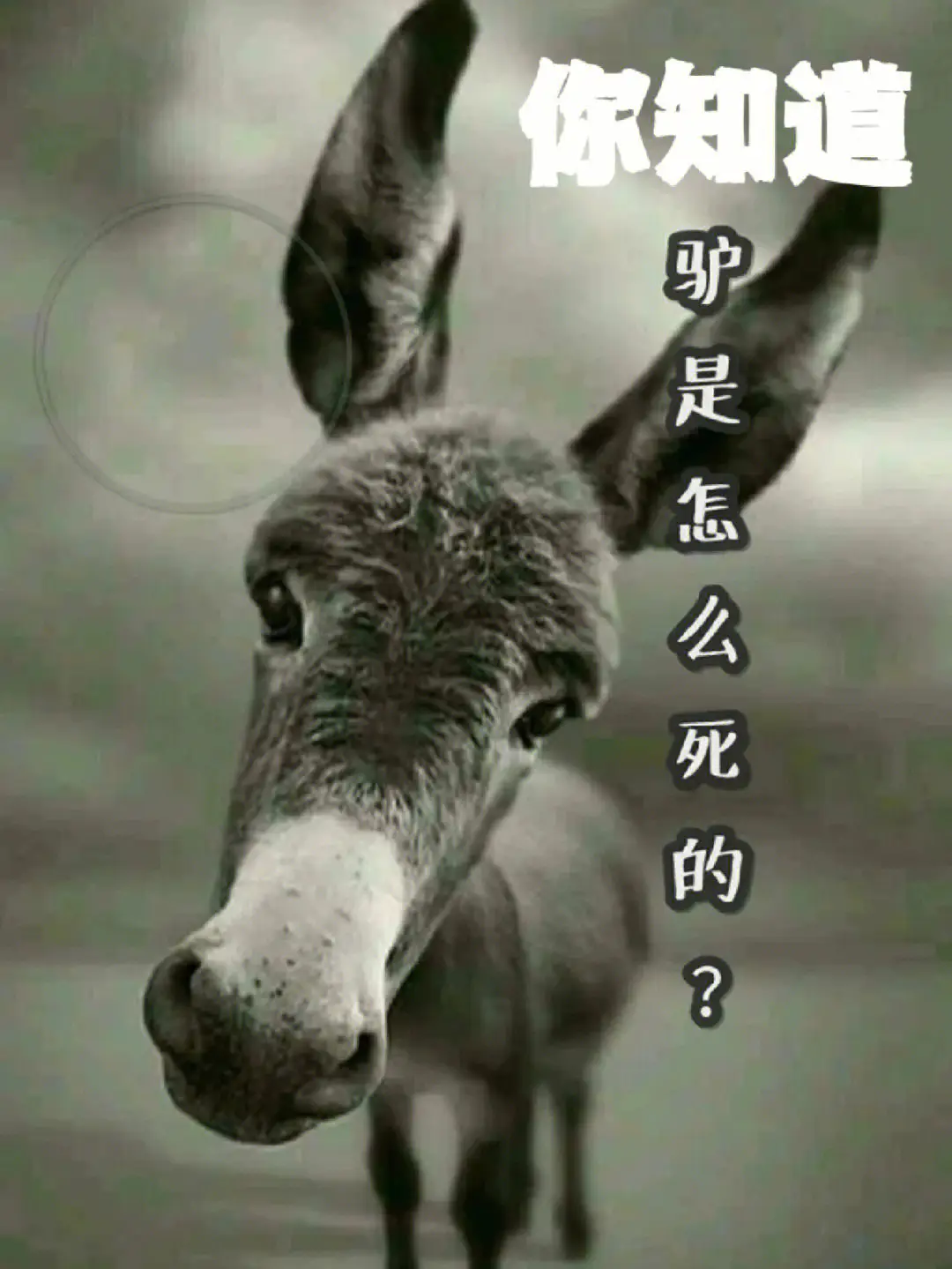 1706198389965181.png 微信图片_20240117205832.png