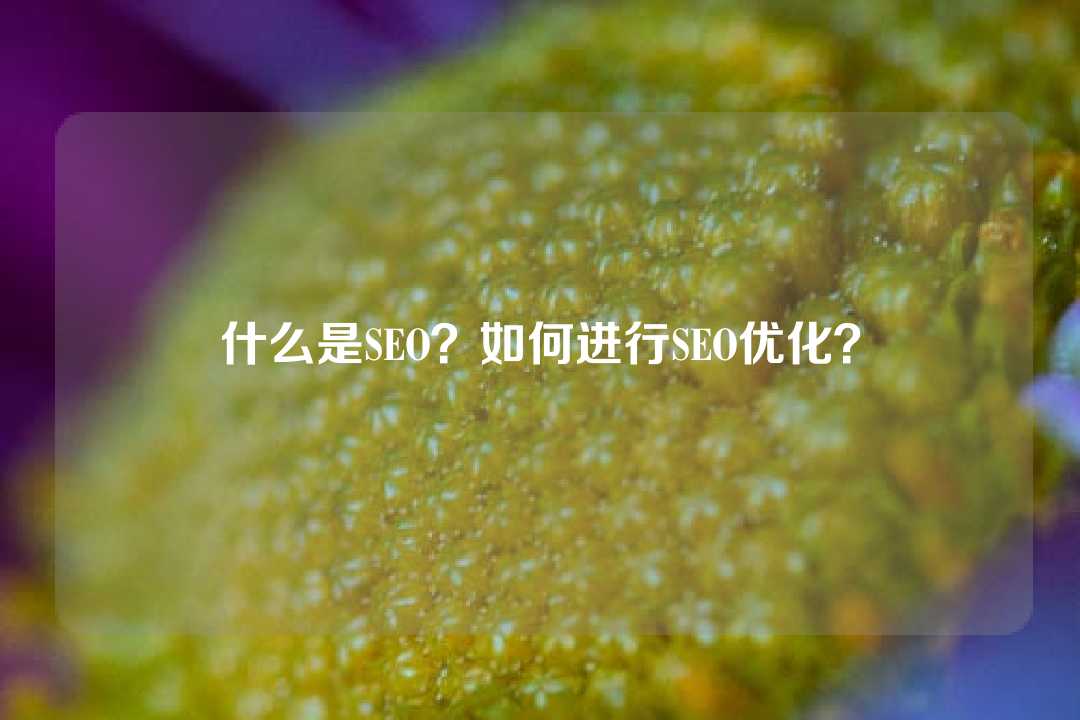 什么是SEO?如何进行SEO优化?